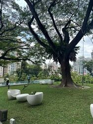 Irwell Hill Residences (D9), Apartment #625036661